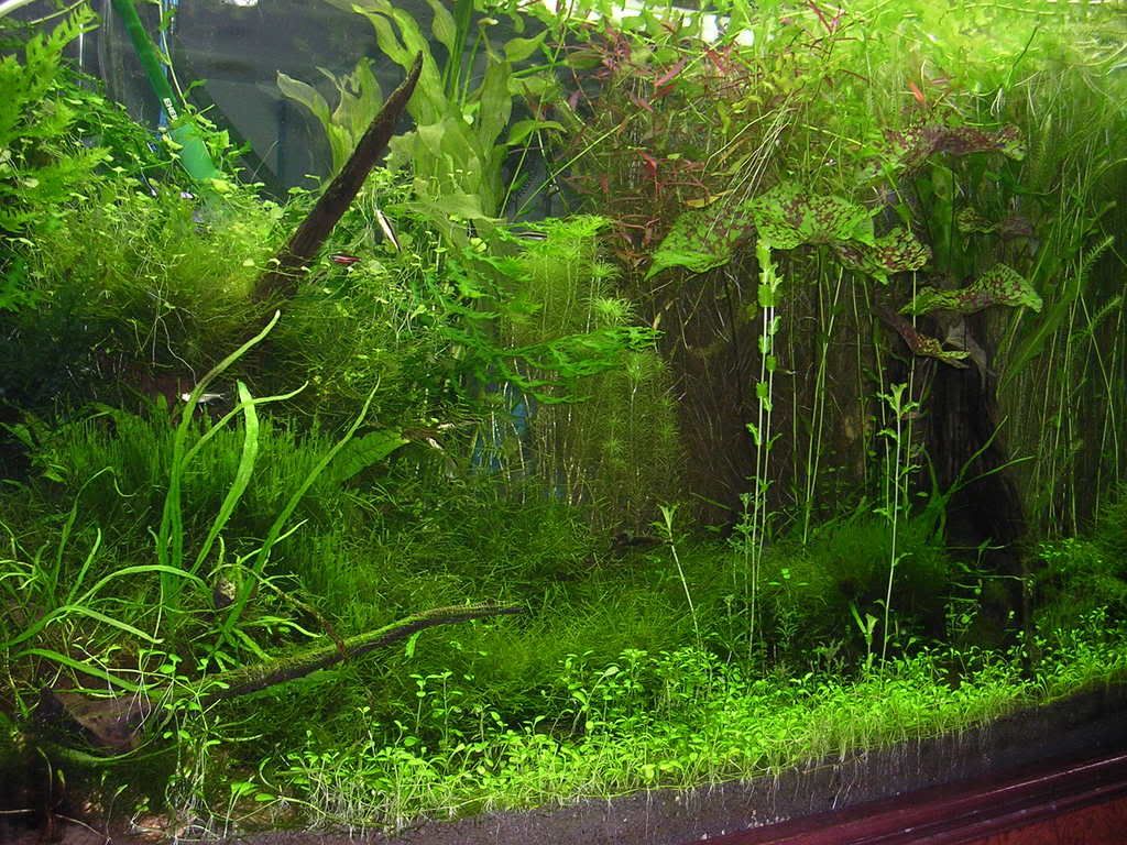 DSCN3071.jpg