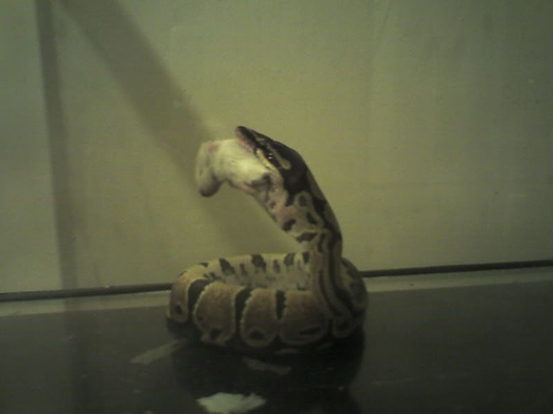 Picture0166.jpg