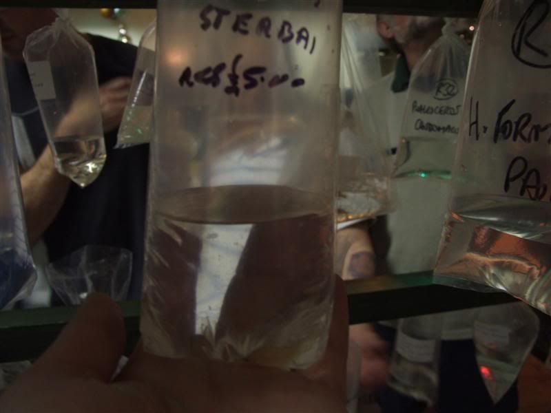 DSCF2519Medium.jpg