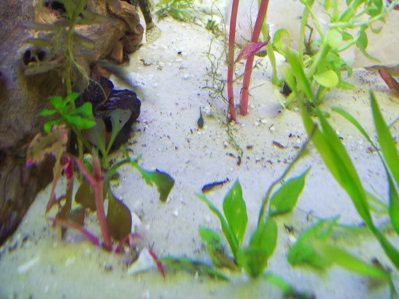 100_0377.jpg