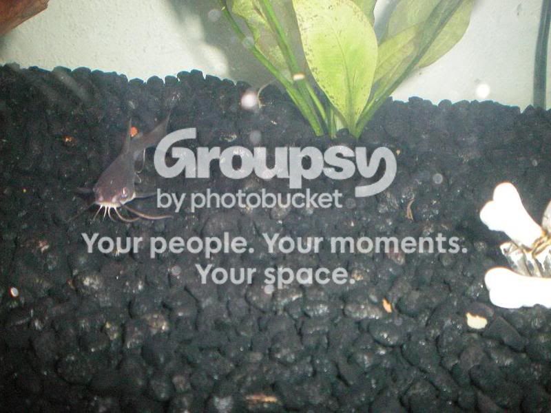 PictureorVideo002.jpg