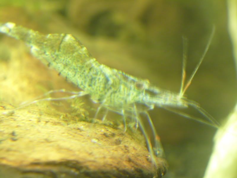 S7002723.jpg