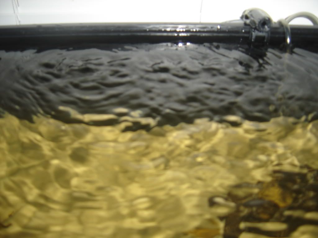progessof20gallon032.jpg