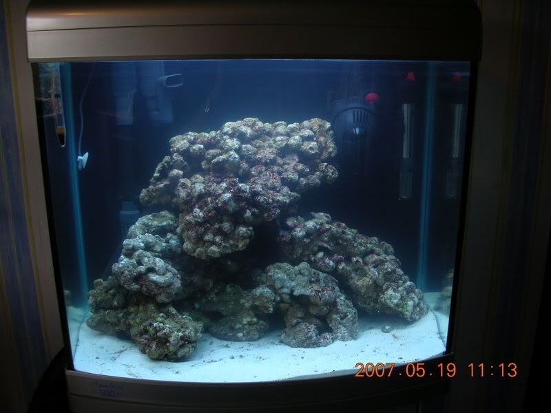 DSCN1737.jpg