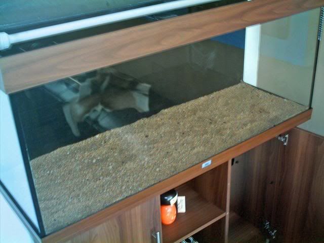 imag0001-4.jpg