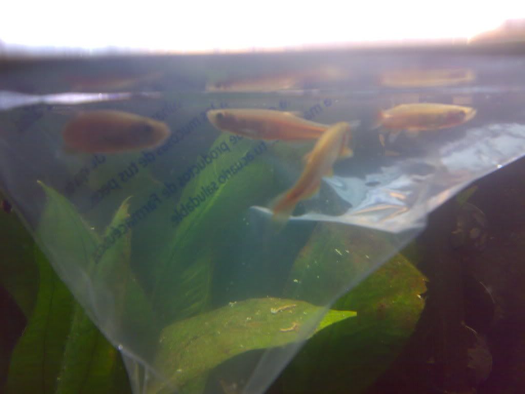 09012009013.jpg