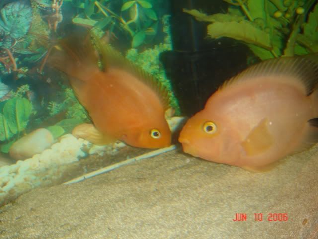 DSC02994.jpg
