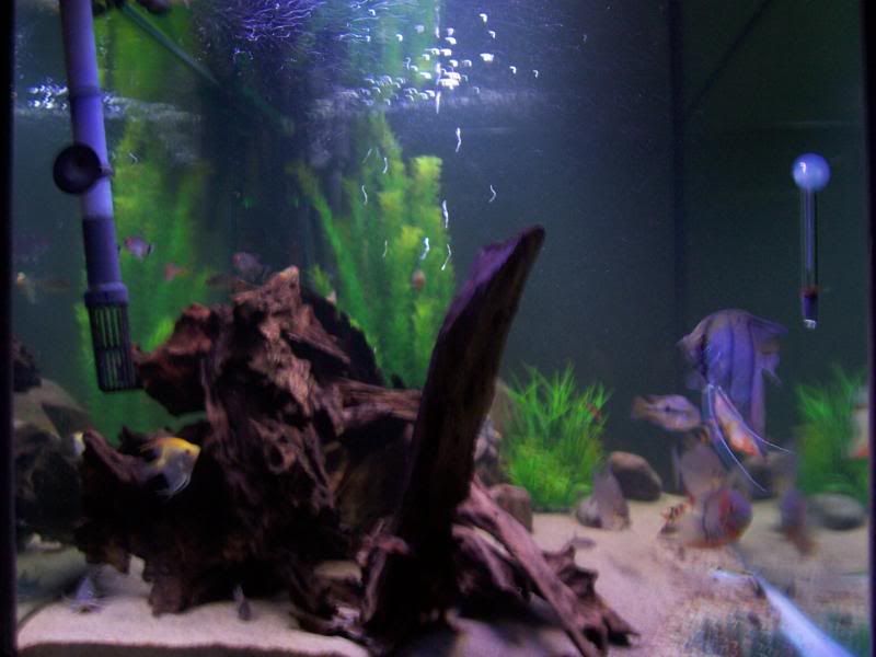 100_6083.jpg