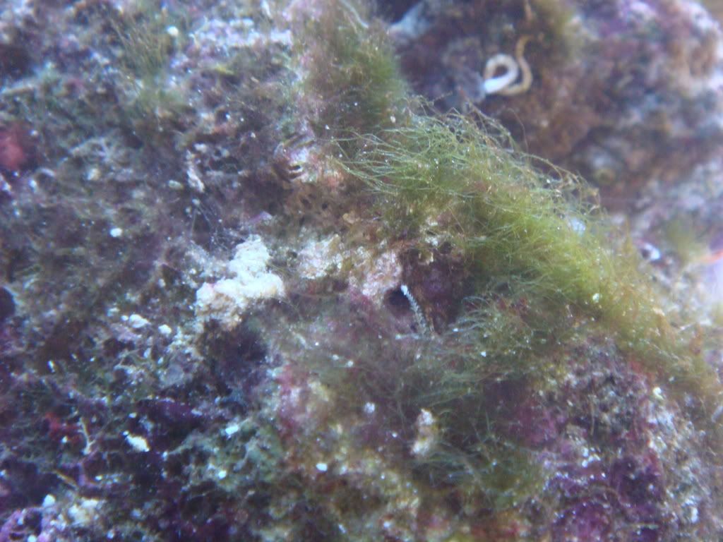 DSC01678.jpg