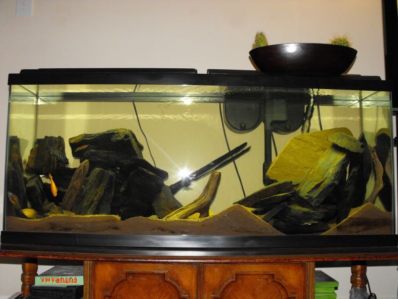DSCF4083.jpg