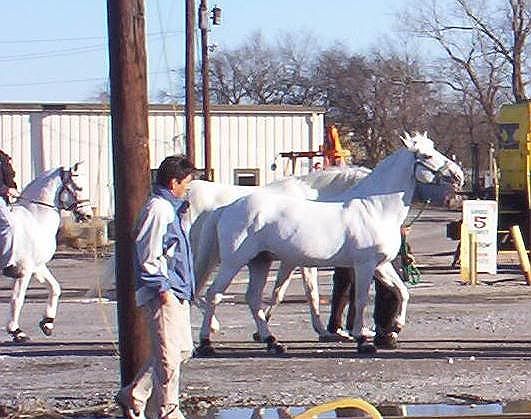 100_3086.jpg