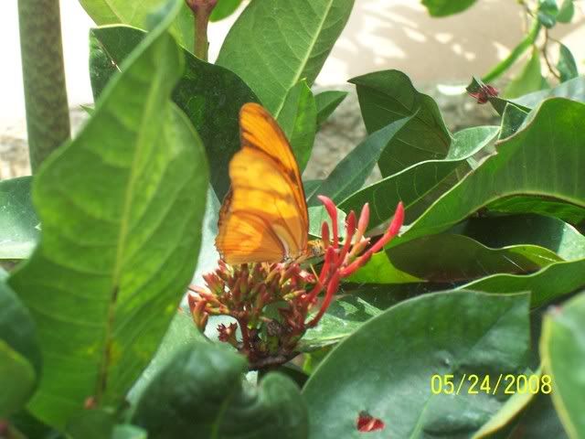 100_3244.jpg
