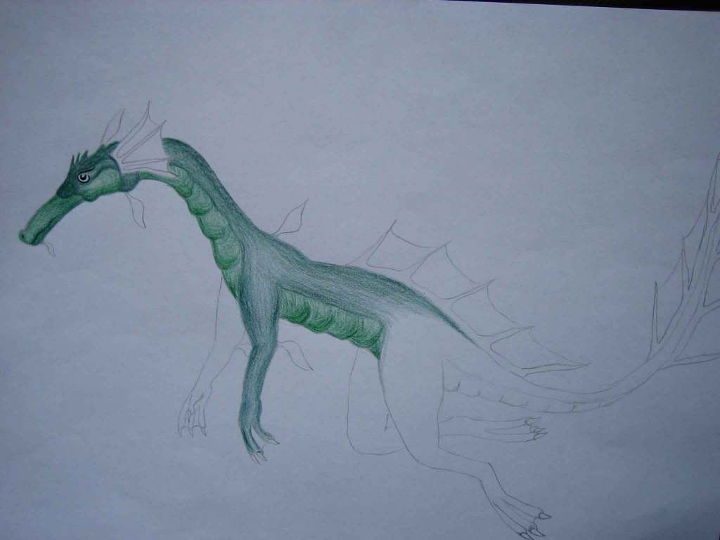seadragon-005web.jpg