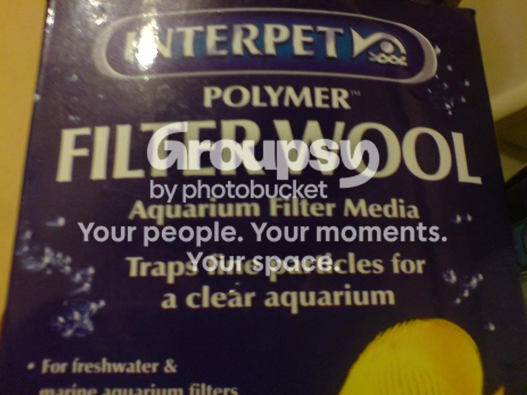 DSC00062.jpg