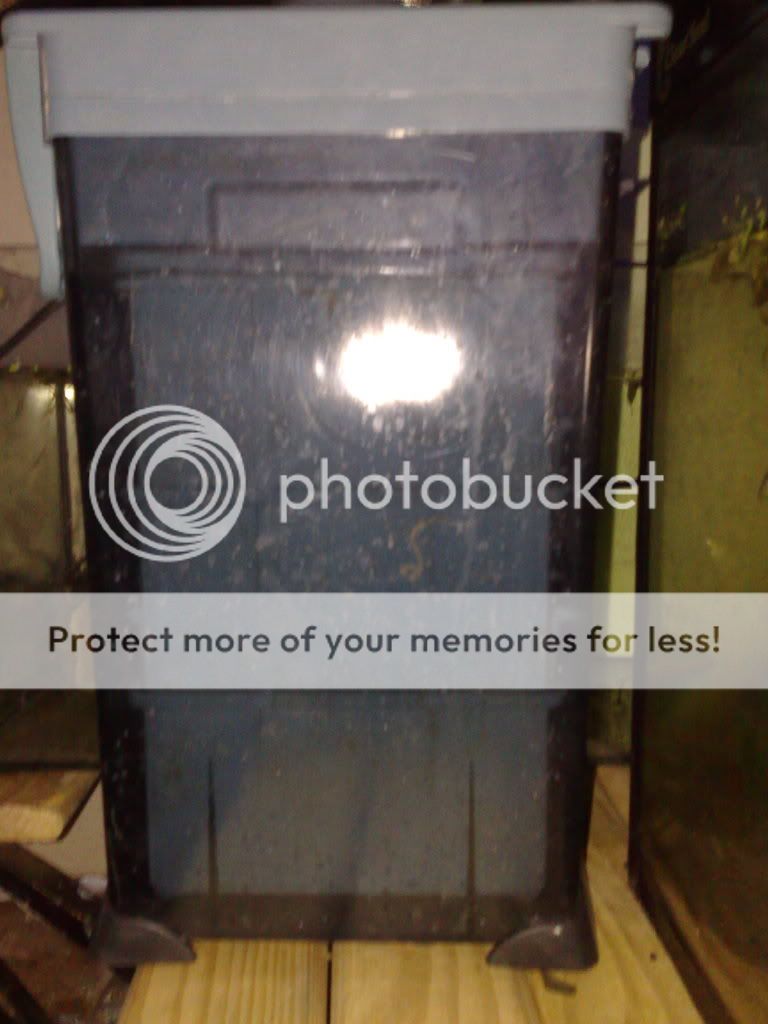 08082009749-1.jpg
