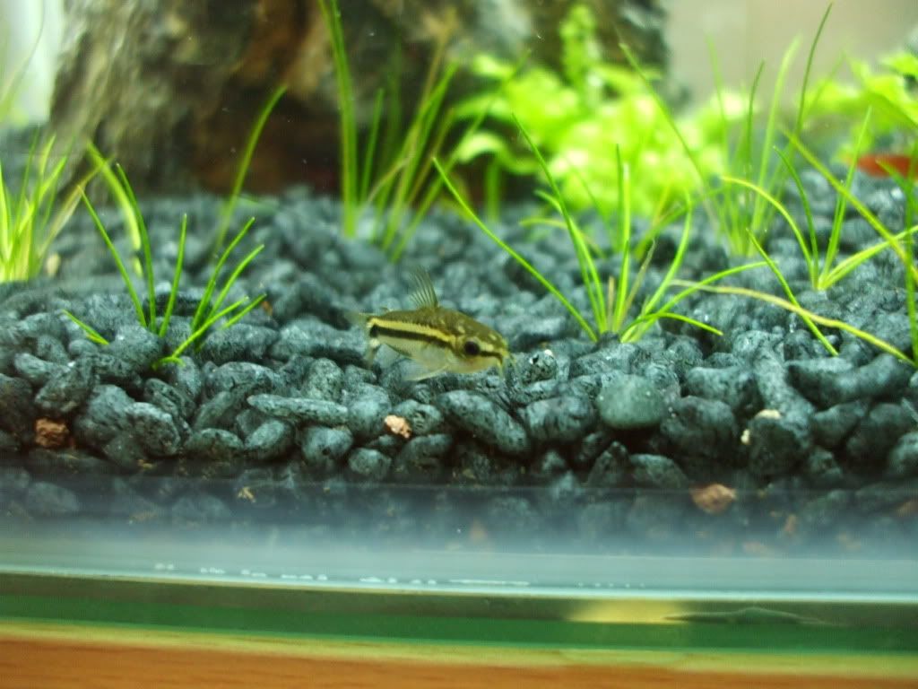 DSCF9733.jpg