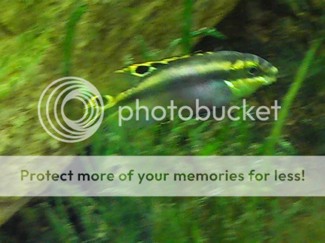 PIC_0744.jpg