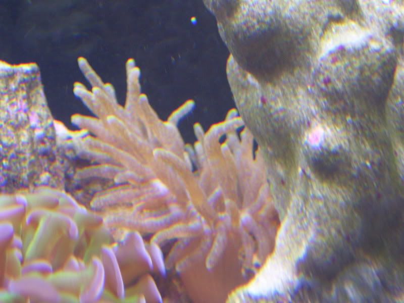 100_0416-1.jpg