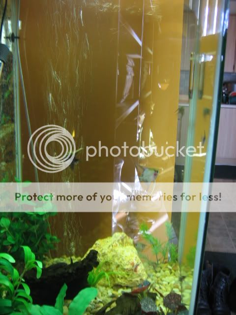 Picture007-1.jpg