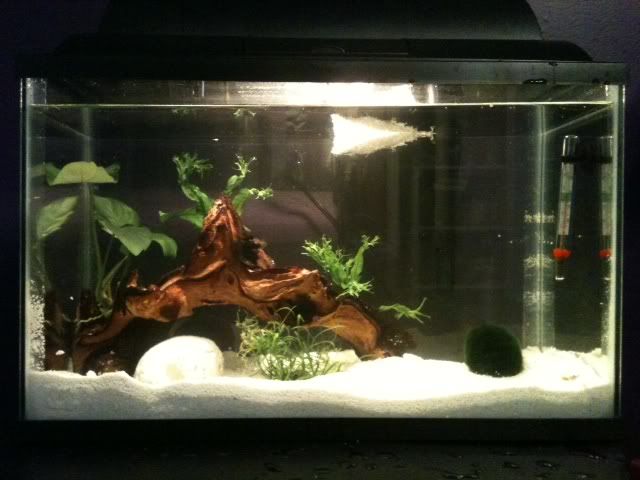 Newtank.jpg