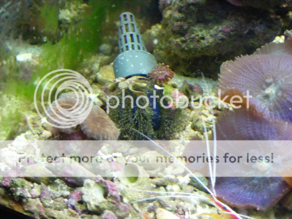 DSCF2846.jpg