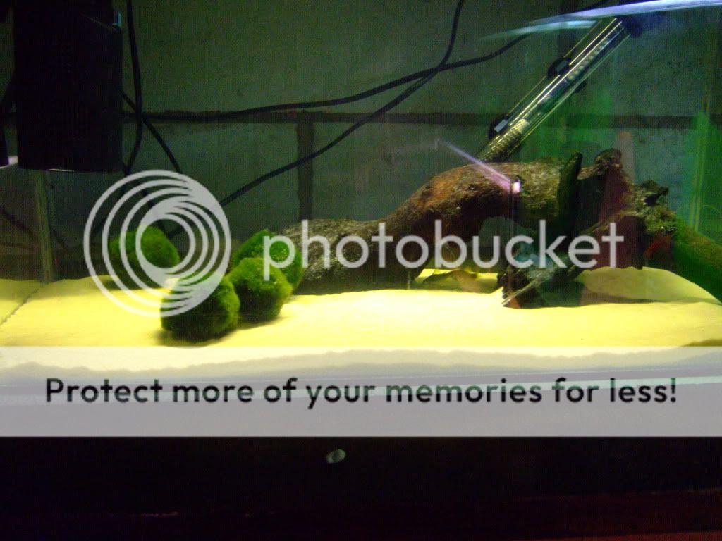004-4.jpg