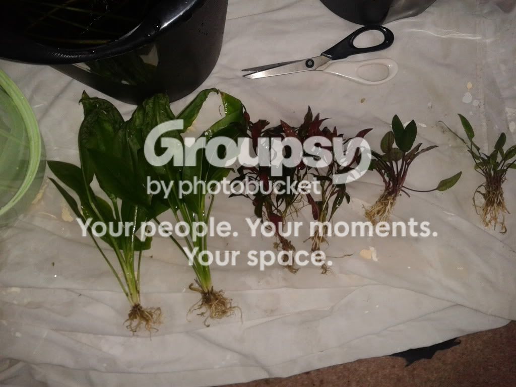 2011-12-24123929.jpg