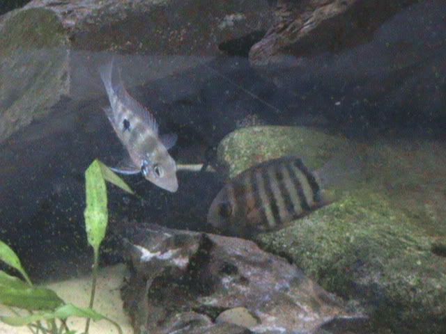 DSC00107.jpg