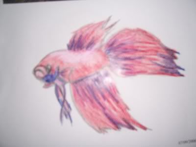 fish047.jpg