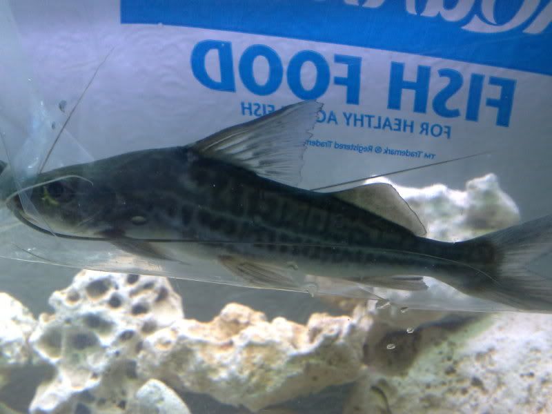 25072009139.jpg