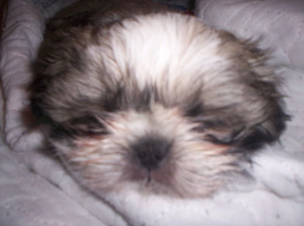 Picture023.jpg