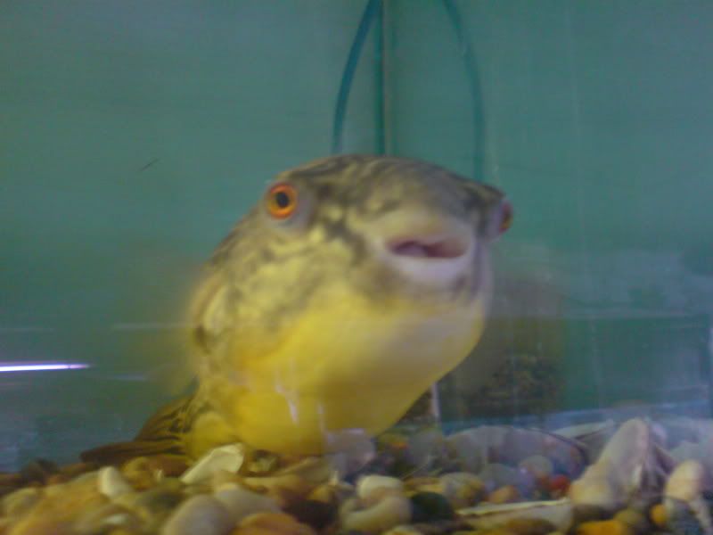 DSC01438.jpg