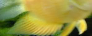 DSC01023.jpg
