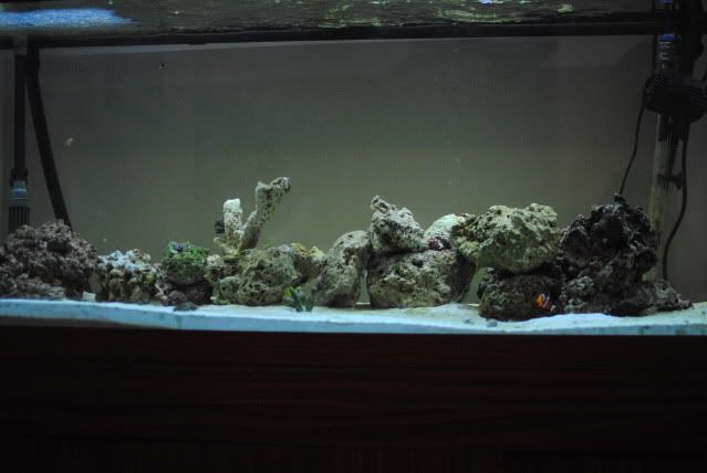 DSC_0505.jpg