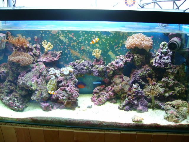 FTS02009.jpg