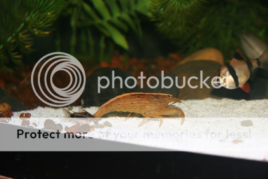IMG_7690.jpg