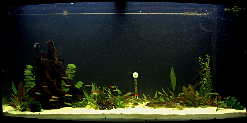 aquarium.png