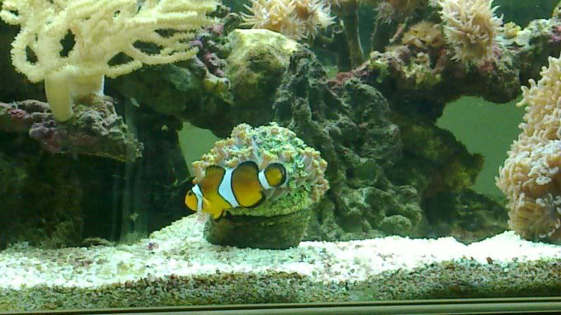 20101211_006.jpg
