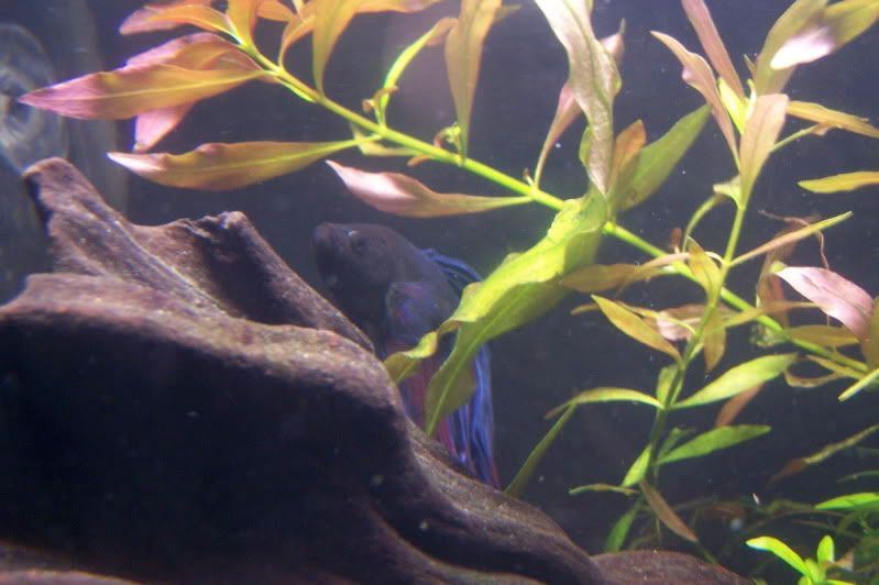 100_7719.jpg