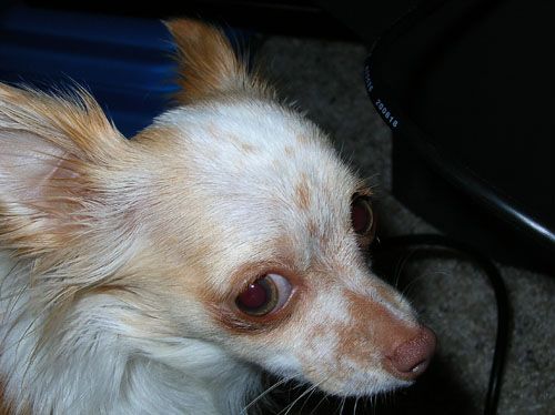 DSCN4587.jpg