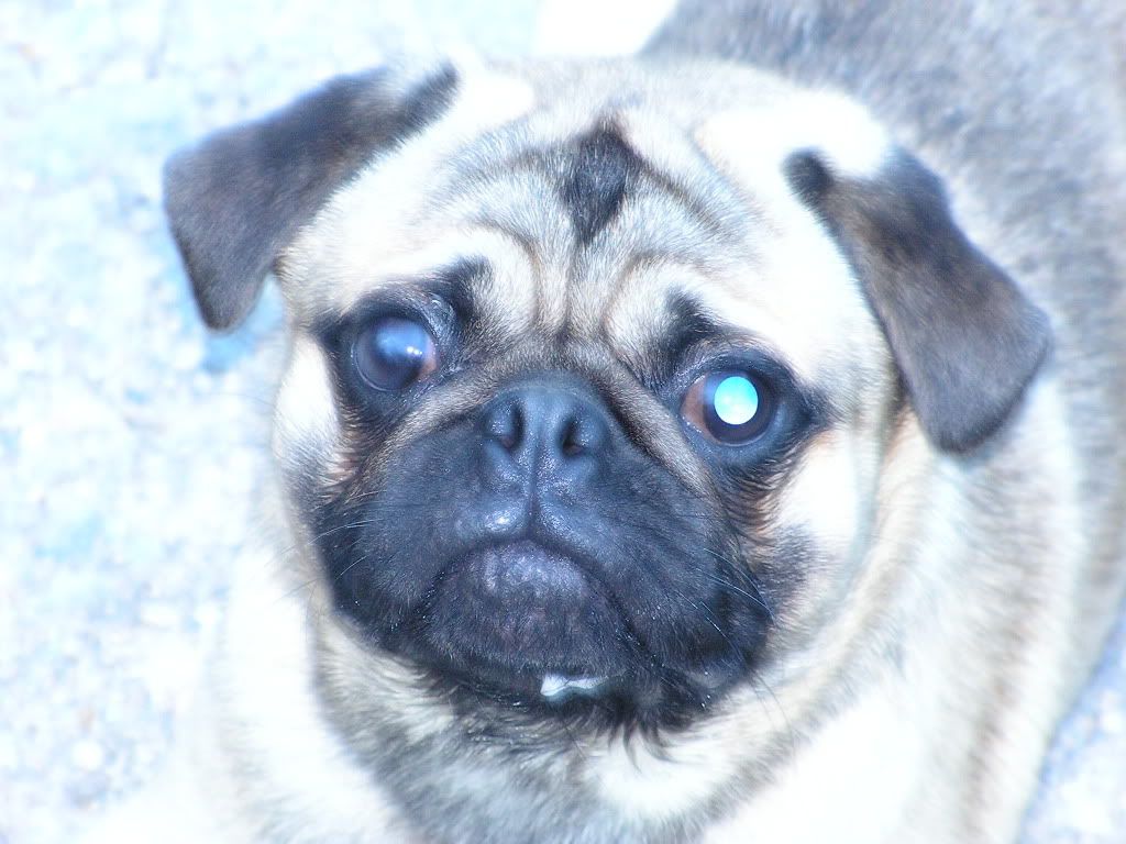 PICT0919.jpg
