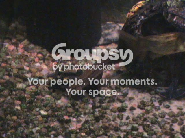 DSC00156.jpg