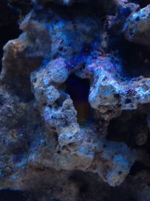 photo4-13.jpg