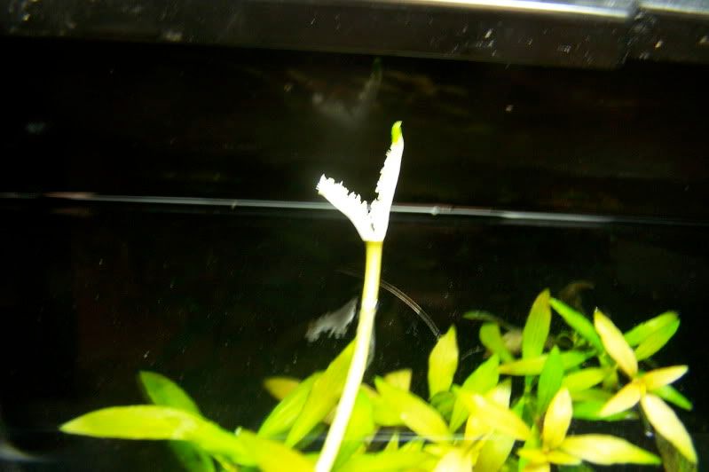 100_7671.jpg