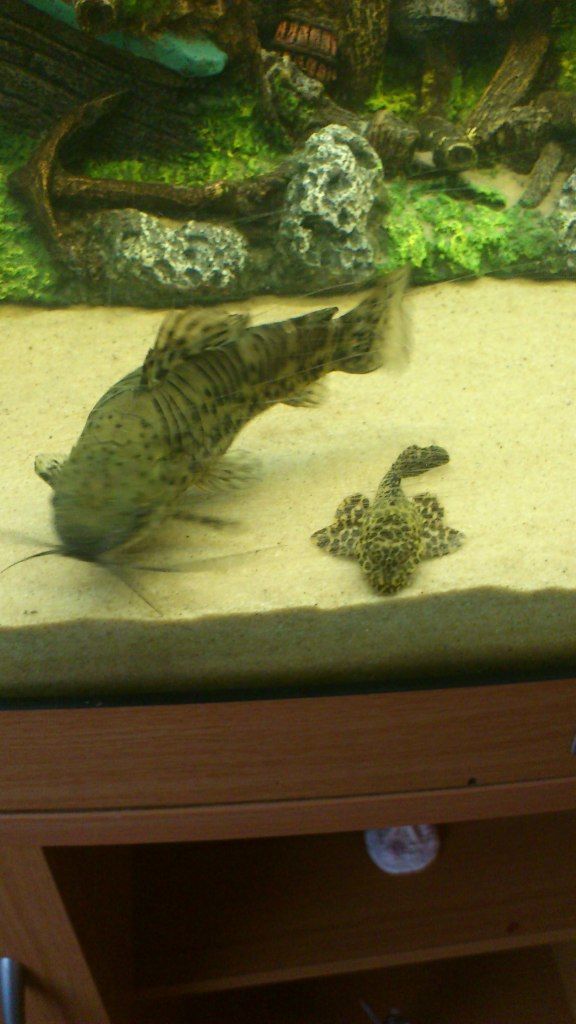 DSC_0020.jpg