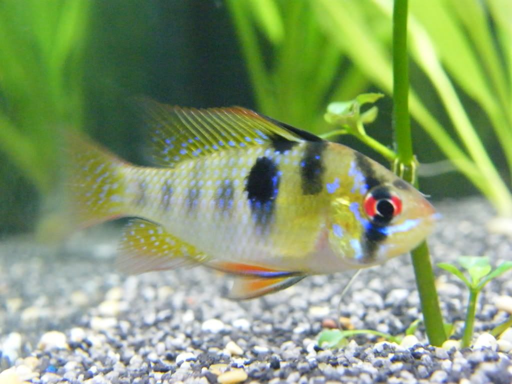 DSCF4583.jpg