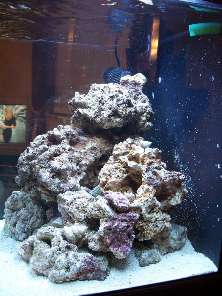 100_1053.jpg