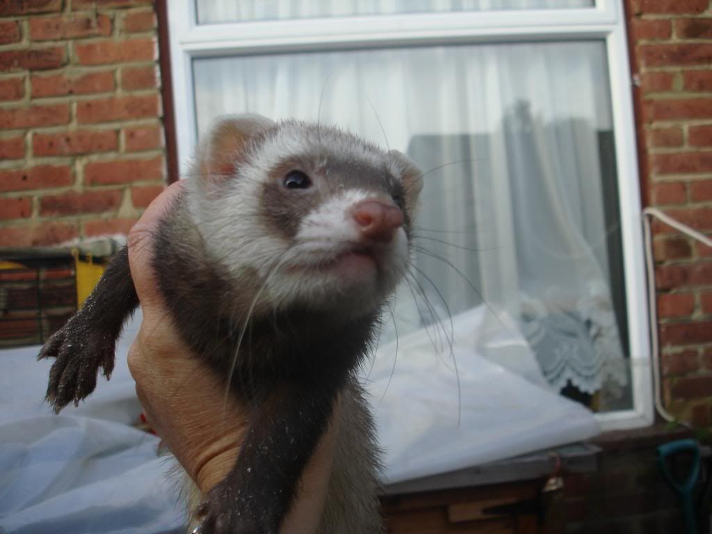 DSC02309.jpg