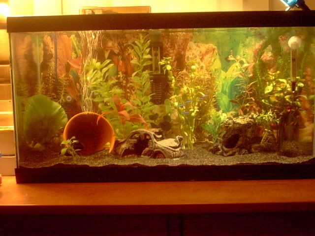 15gallon015.jpg