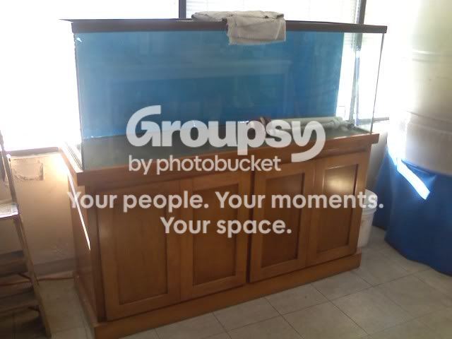 IMG00691.jpg